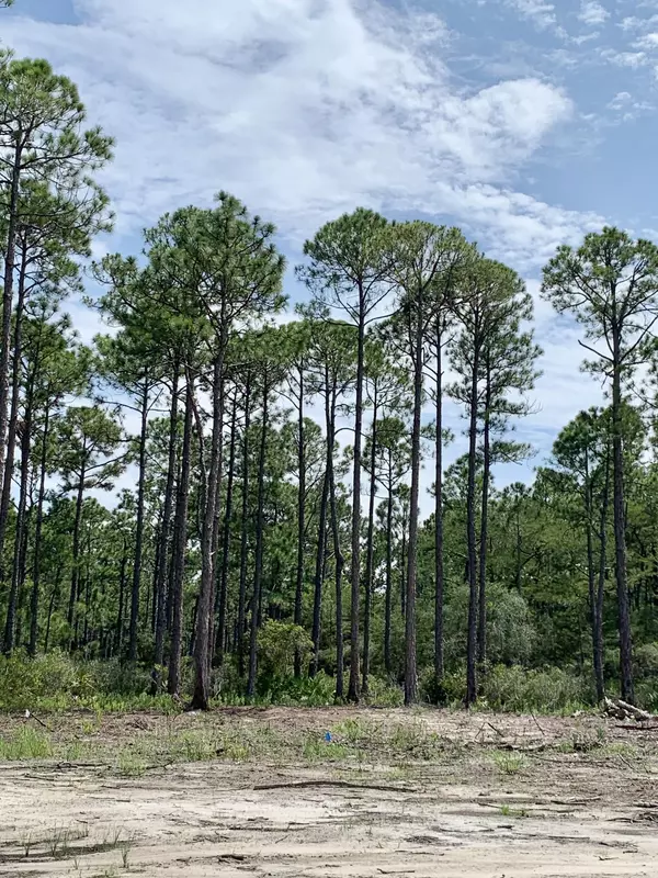 Santa Rosa Beach, FL 32459,Lot 12 Monk Lane Lane