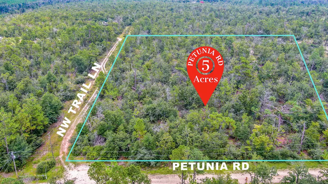 000 NW Petunia Road, Fountain, FL 32438