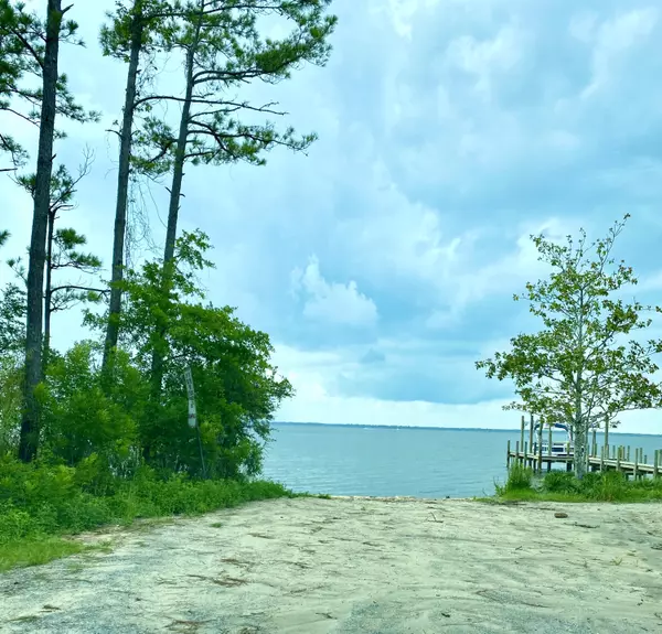 Santa Rosa Beach, FL 32459,Lot 29 Wild Blueberry Way