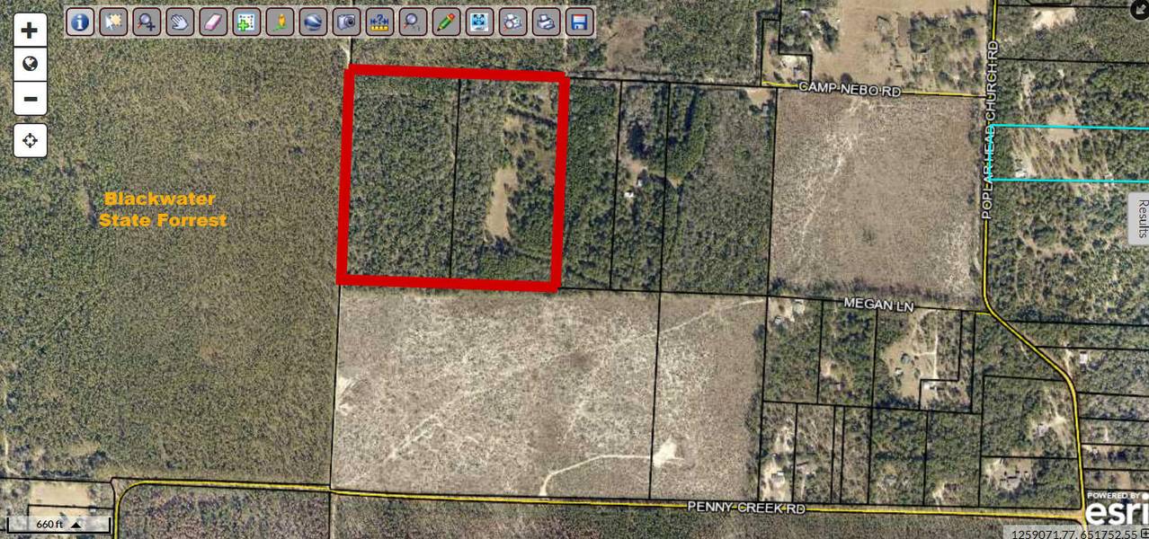 40 Acres Camp Nebo Road, Holt, FL 32564