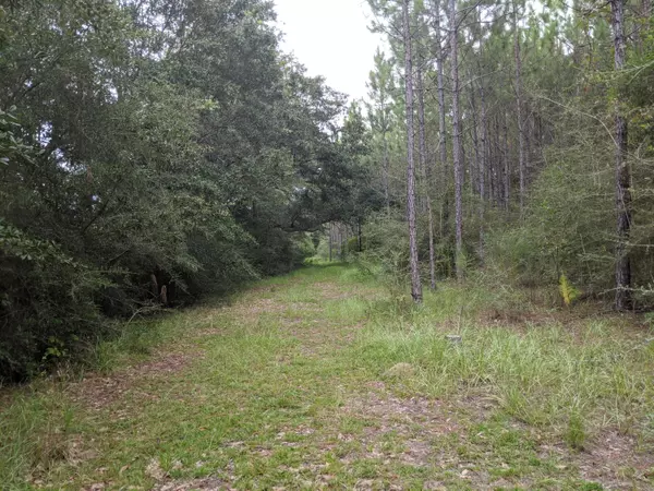 Holt, FL 32564,40 Acres Camp Nebo Road