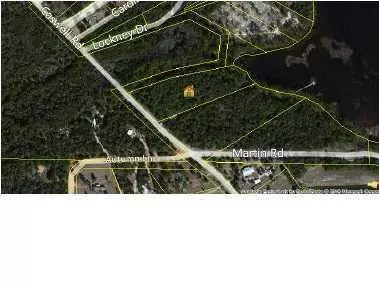 Defuniak Springs, FL 32433,XXX Caswell Road