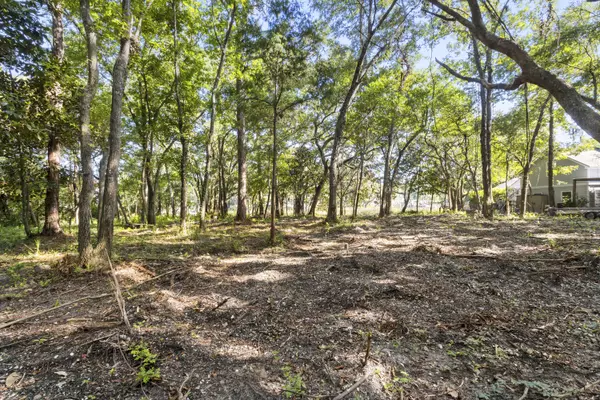 Santa Rosa Beach, FL 32459,192 S Blue Heron Drive