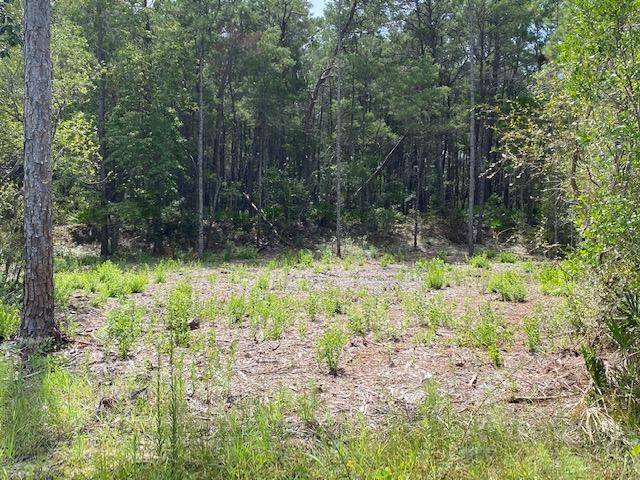 Lot 7 W Point Washington Road, Santa Rosa Beach, FL 32459