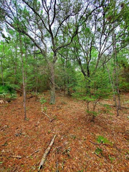 1.66 Ac xx Boundry Lane, Holt, FL 32564