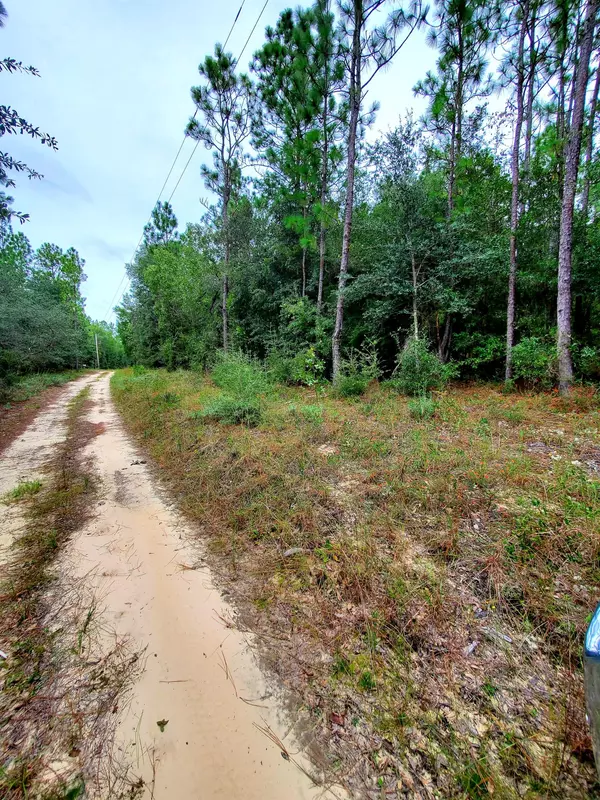 Holt, FL 32564,1.66 Ac xx Boundry Lane