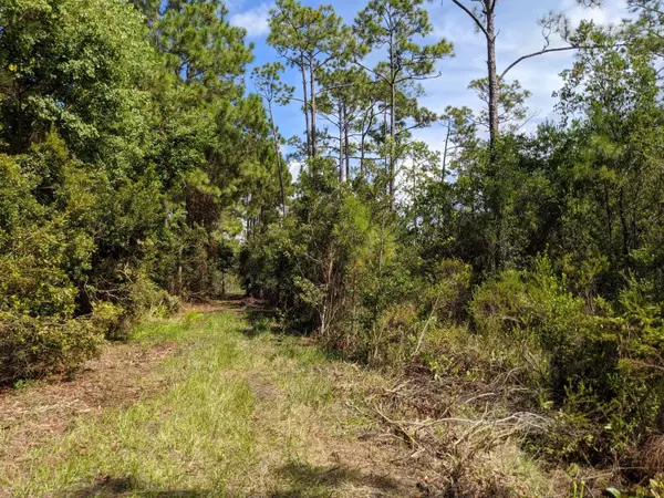 Santa Rosa Beach, FL 32459,Lot 8 Calm Gulf Drive