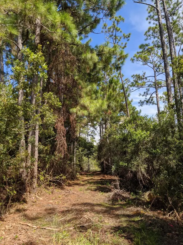 Santa Rosa Beach, FL 32459,Lot 11 Calm Gulf Drive