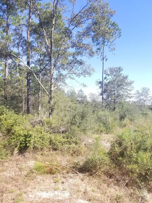 Laurel Hill, FL 32567,252 E Chapel Road