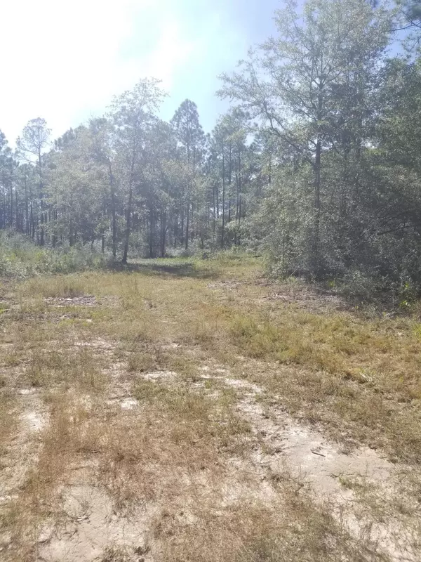 Laurel Hill, FL 32567,252 E Chapel Road