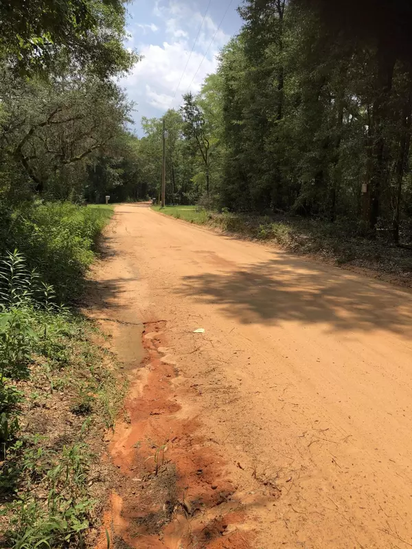 xxx Old Brown Road  #Parcel A, Baker, FL 32531