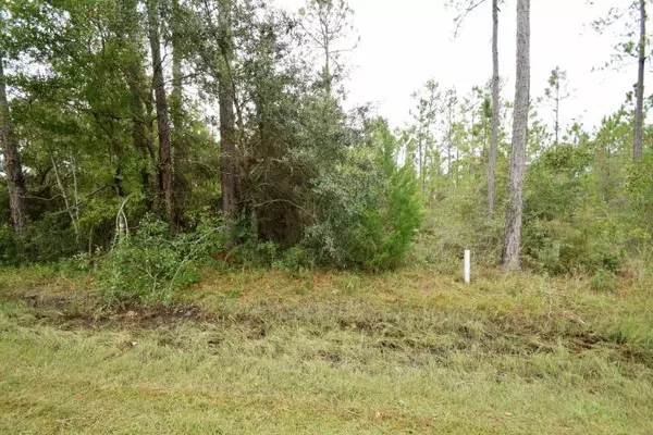 Freeport, FL 32439,Lot 11 Co Highway 3280