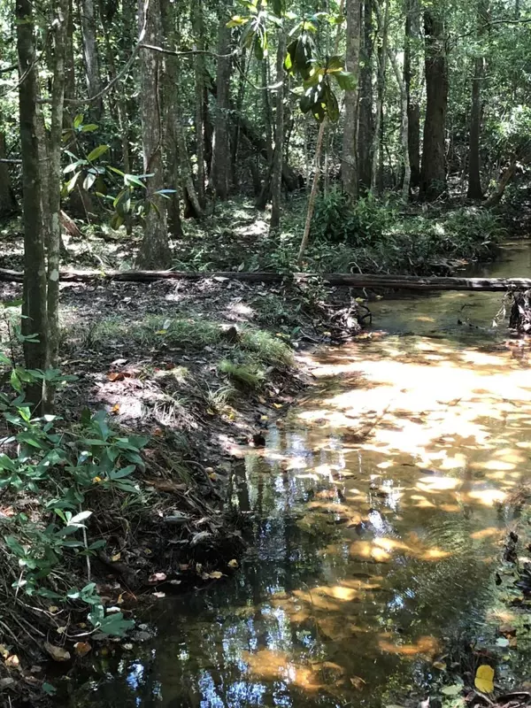 Baker, FL 32531,195 Acres Garrett Mill Road