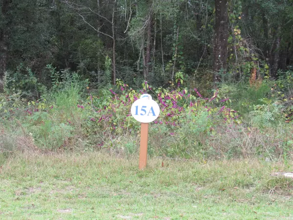 Lot 15 Sun Bear Circle, Freeport, FL 32439