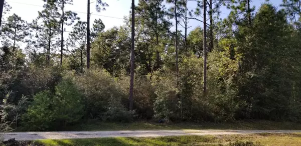 25 Ac W Dogwood Drive, Crestview, FL 32536