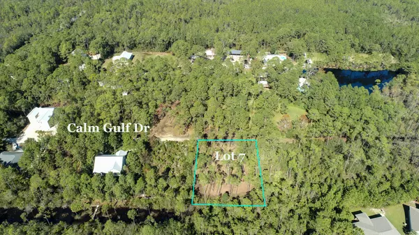 Santa Rosa Beach, FL 32459,Lot 7 Calm Gulf Drive