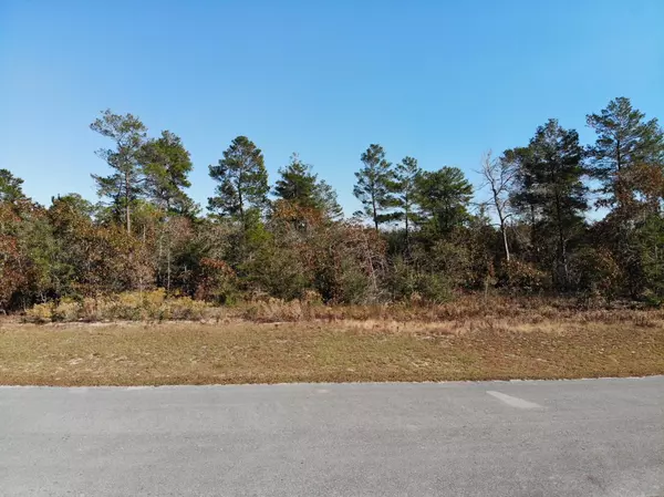 Freeport, FL 32439,Lot 2 Fairway Xing Crossing