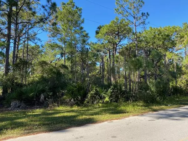 Santa Rosa Beach, FL 32459,Lot10 Blk7 Elm Street