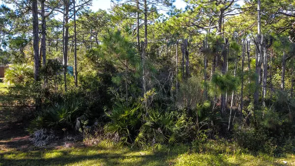 Lot10 Blk7 Elm Street, Santa Rosa Beach, FL 32459