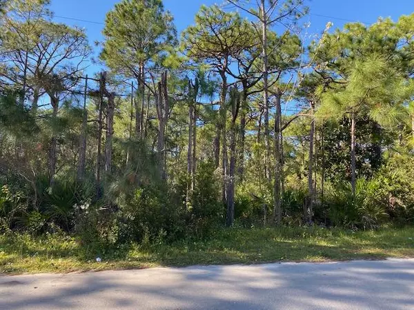 Santa Rosa Beach, FL 32459,Lot10 Blk7 Elm Street