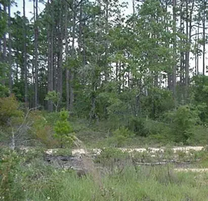 lot 24 South Drive, Defuniak Springs, FL 32433