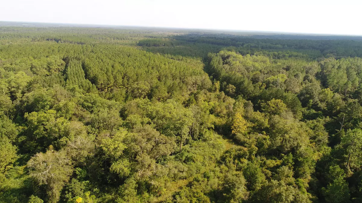 Laurel Hill, FL 32567,232 acres Hwy 85