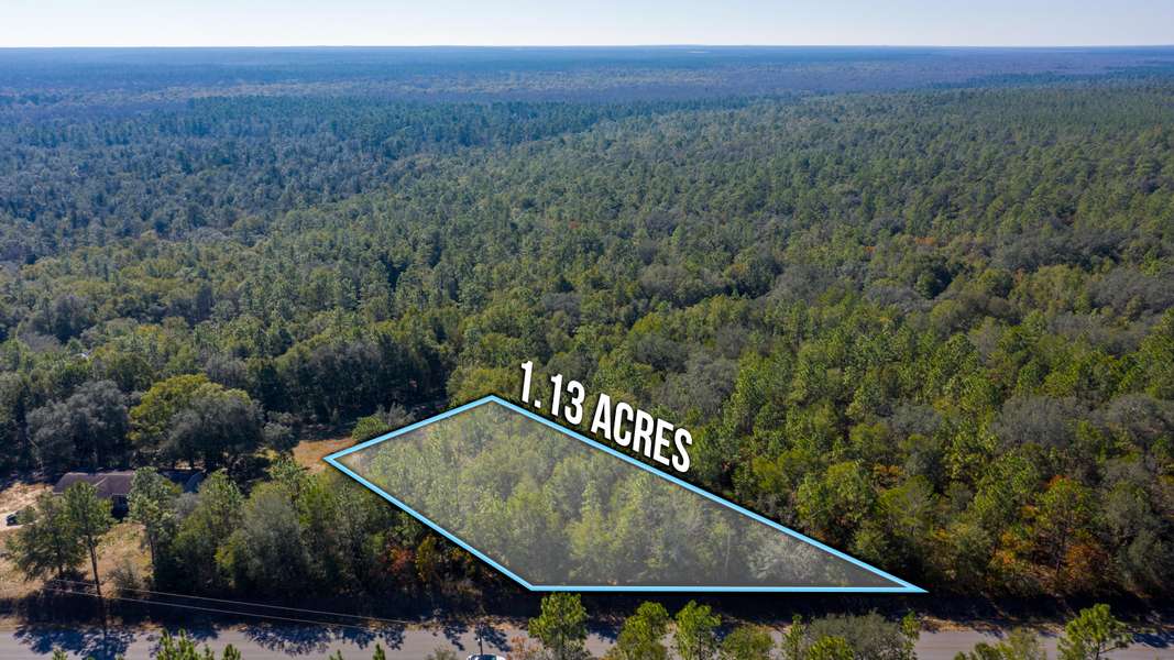 TBD Wilkerson Bluff Road, Holt, FL 32564