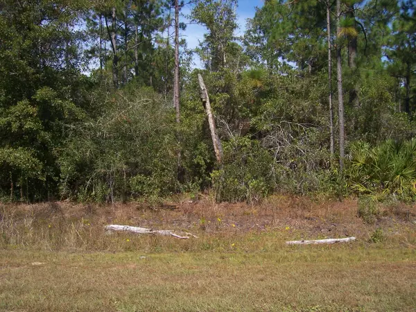 Lot 3 N N. 15th Avenue, Milton, FL 32583