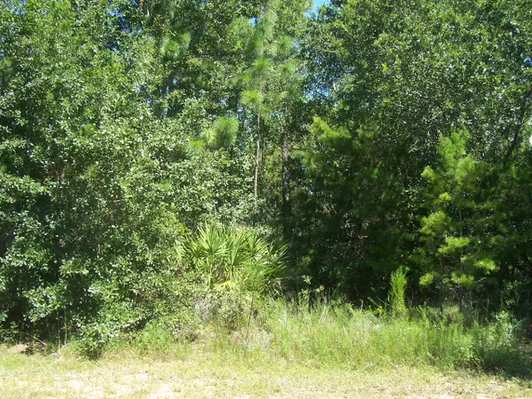 Lot 5 11th Avenue, Milton, FL 32583