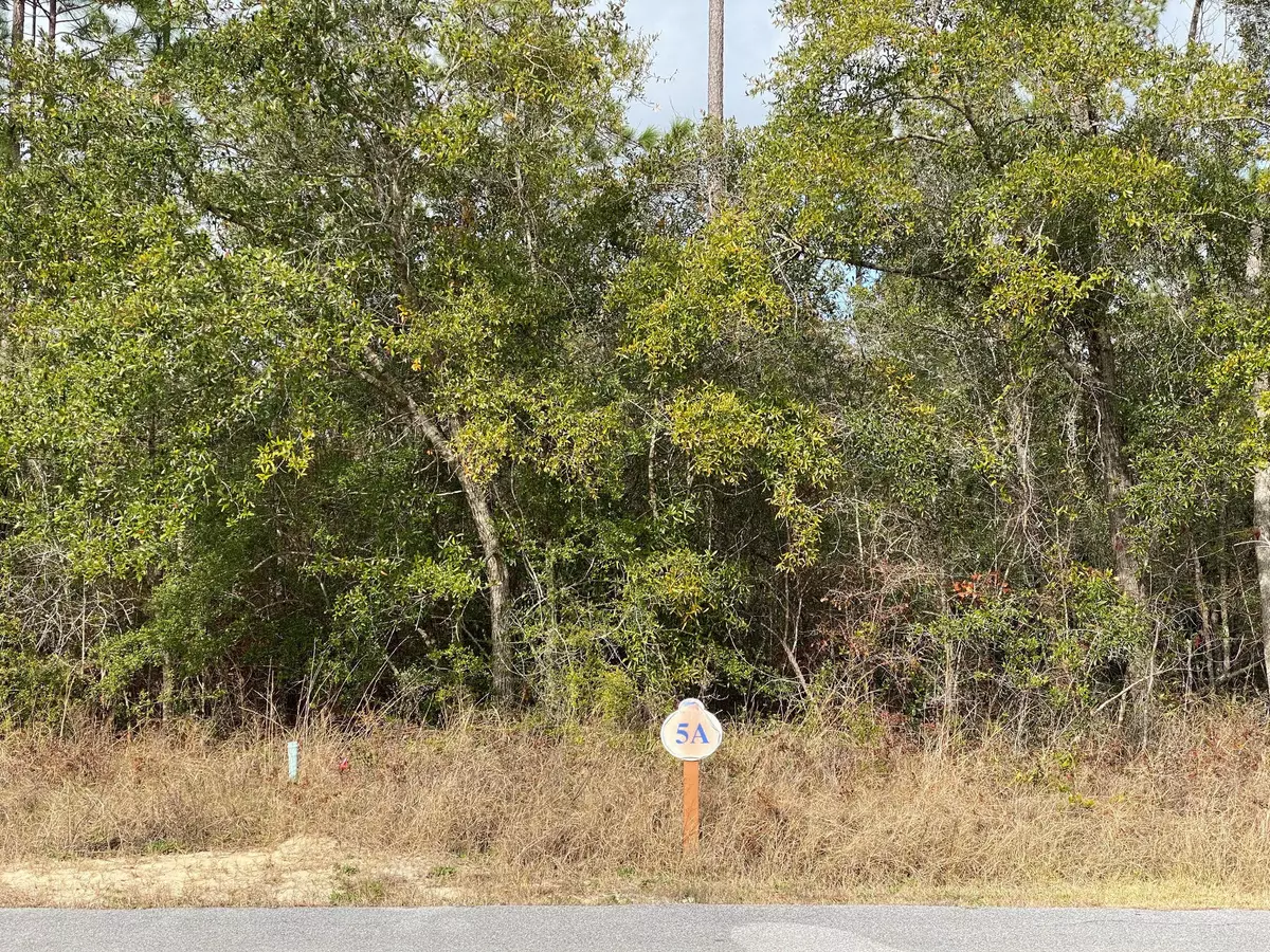 Freeport, FL 32439,Lot 5 Sun Bear Circle