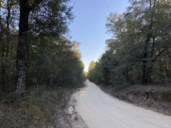 Crestview, FL 32536,Lot E Willow Lane