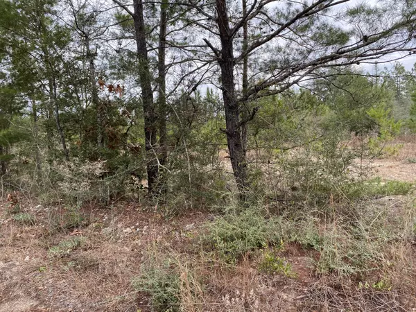 Defuniak Springs, FL 32433,5.7 Acres Watson Road