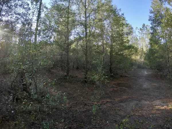 Holt, FL 32564,1.10 Acres Leisure Avenue