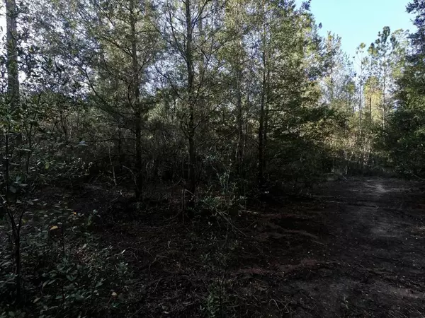 Holt, FL 32564,1.10 Acres Leisure Avenue