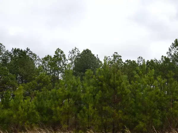 Defuniak Springs, FL 32433,10 ACRES MOSLEY RD