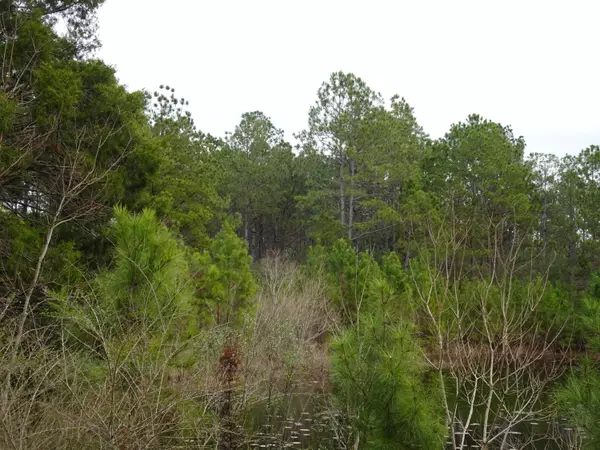 Defuniak Springs, FL 32433,10 ACRES MOSLEY RD