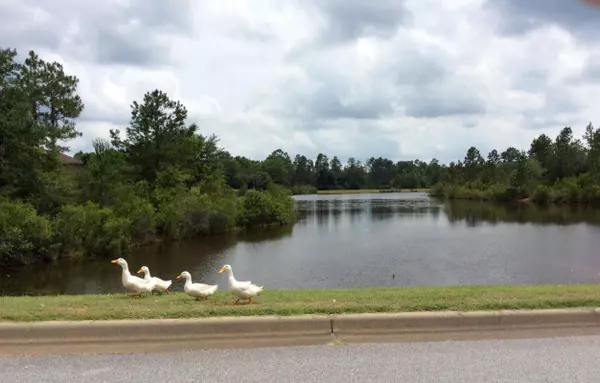 Crestview, FL 32536,6440 Amanda Court