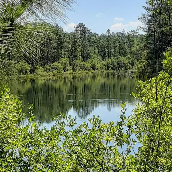 8.32 AC-AB Pine Lane, Crestview, FL 32539