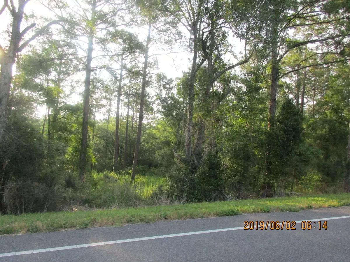 Defuniak Springs, FL 32433,Lot 51 St Highway 83 Highway