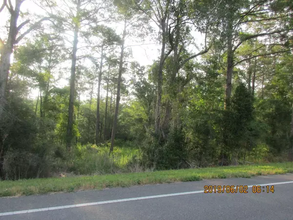 Lot 51 St Highway 83 Highway, Defuniak Springs, FL 32433