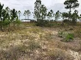 Mary Esther, FL 32569,222 Tecumseh Lane