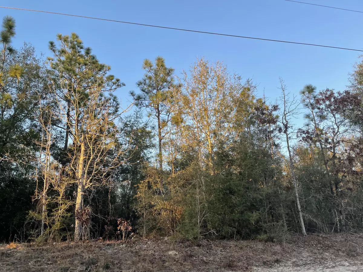 Defuniak Springs, FL 32433,Lot 128 Sibelius Drive