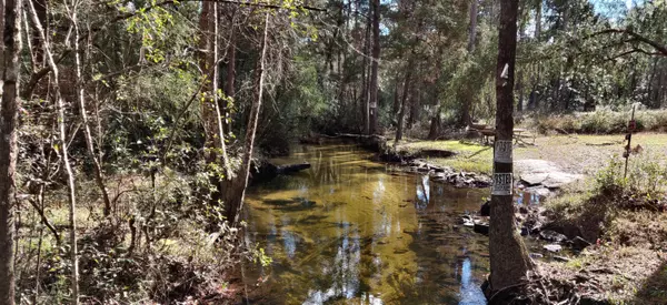 Harold, FL 32563,XXX Fisher Old Mill Rd