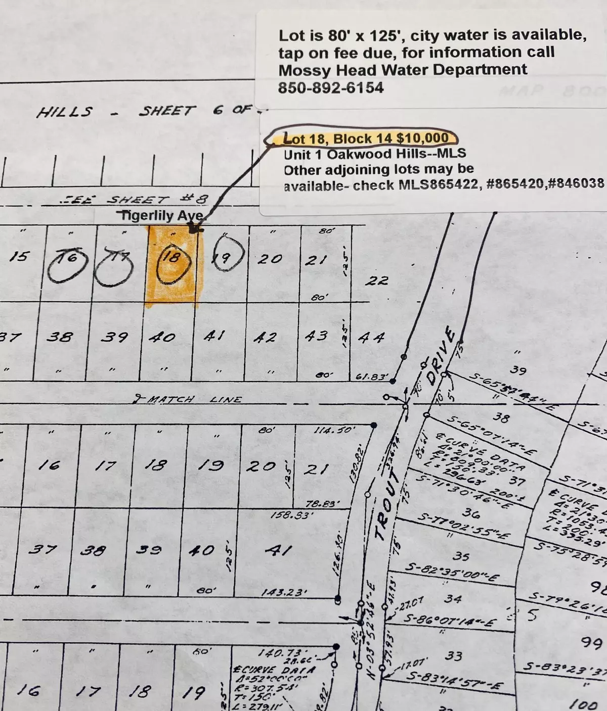 Defuniak Springs, FL 32433,Lot 18 Tiger Lily East Lane