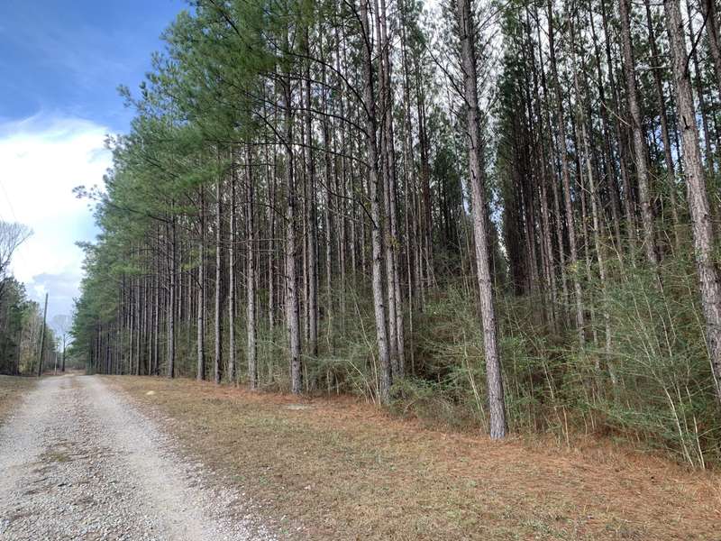 4.86 AC J D Peaden Road, Milton, FL 32570