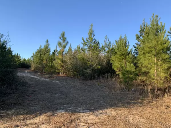 Milton, FL 32570,20 AC Munson Hwy