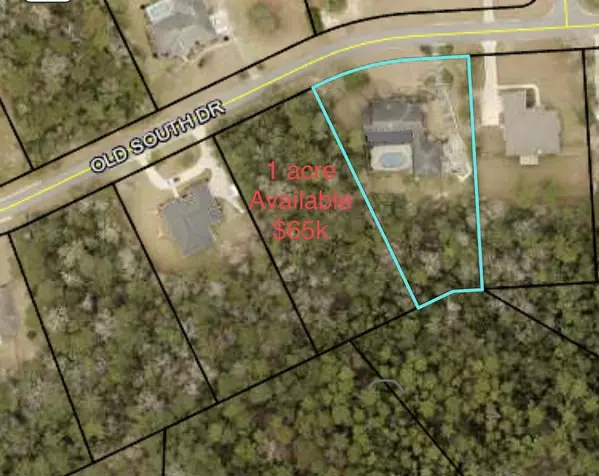 Crestview, FL 32536,132 Old South Drive