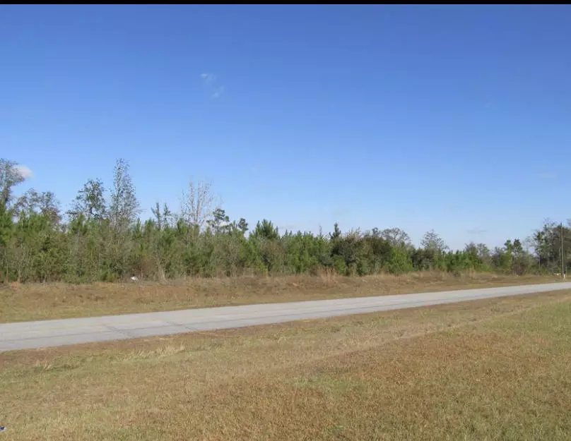 Defuniak Springs, FL 32433,32 ACRES Blue Pond Lane