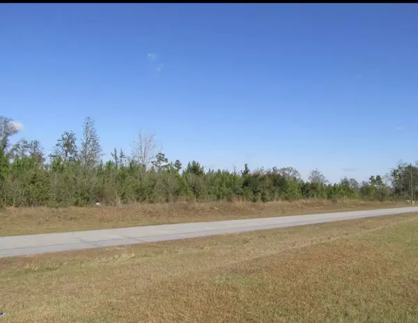 32 ACRES Blue Pond Lane, Defuniak Springs, FL 32433