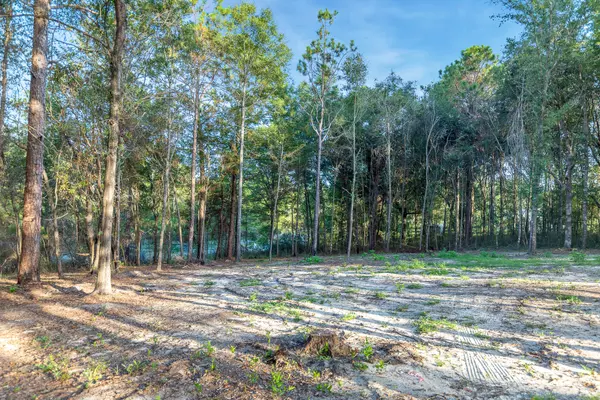 Crestview, FL 32539,000 Windsor Drive  #LOT 9